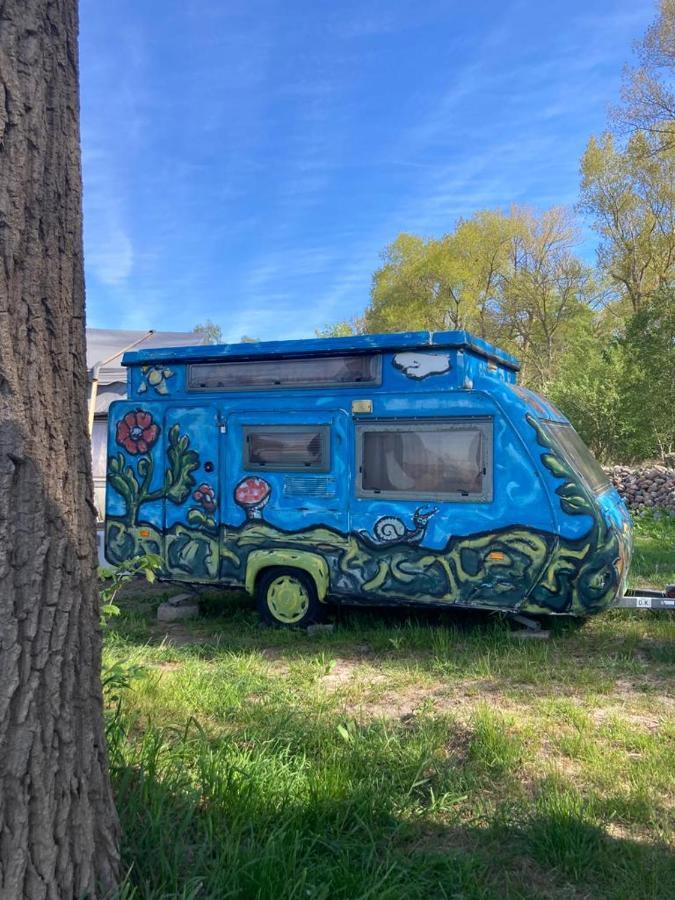 Camping Rogowo Mrzeżyno Cameră foto