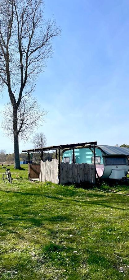 Camping Rogowo Mrzeżyno Exterior foto