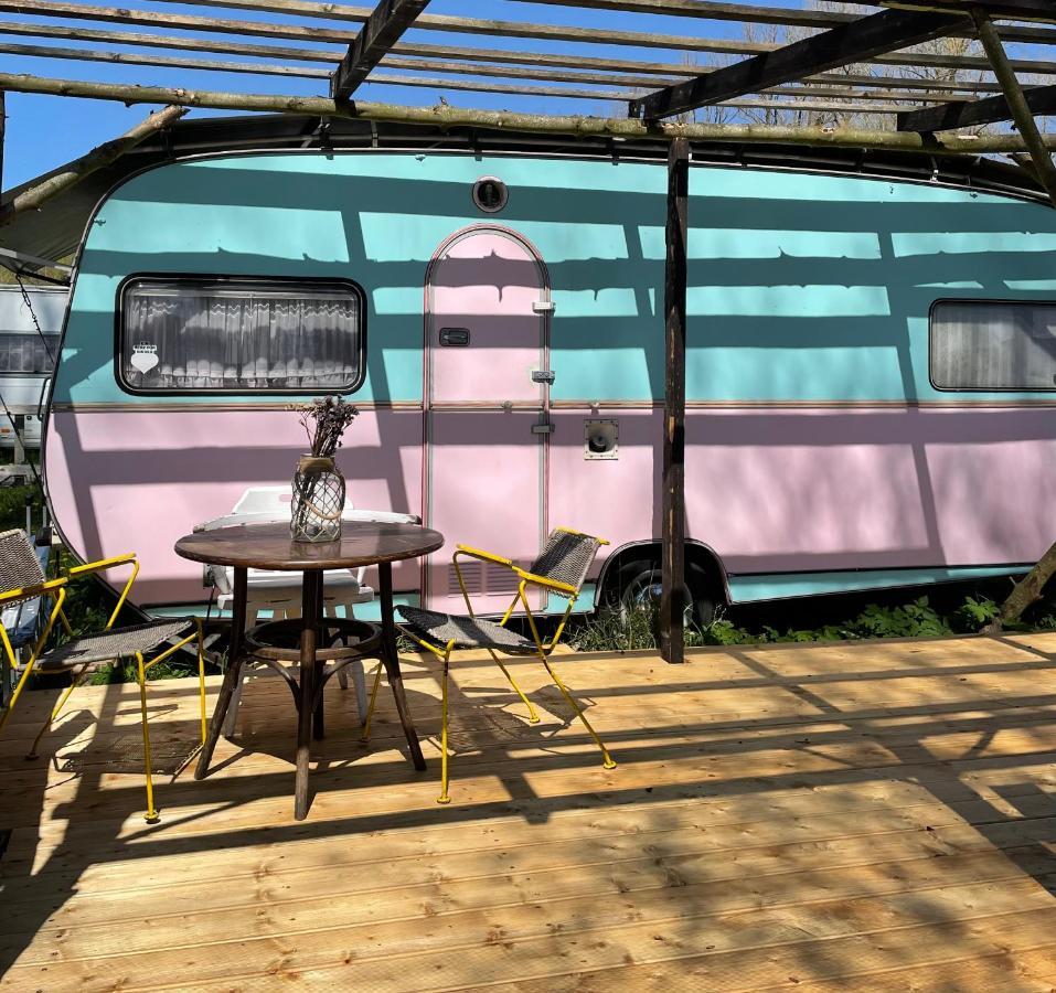 Camping Rogowo Mrzeżyno Exterior foto