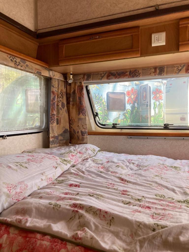 Camping Rogowo Mrzeżyno Cameră foto